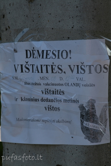 Spauskite peržiūrėti tikro dydžio