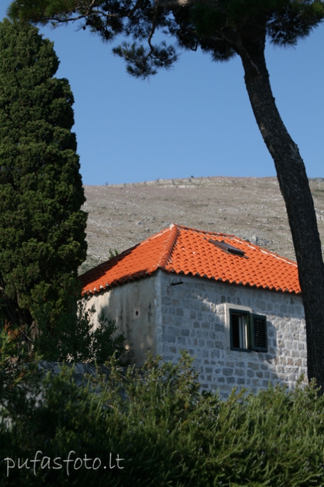 Spauskite peržiūrėti tikro dydžio