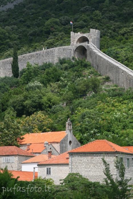 Spauskite peržiūrėti tikro dydžio