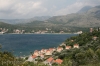 IMG_7761.jpg