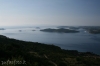 IMG_7940.jpg