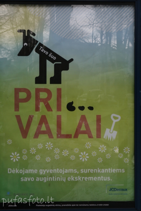 Spauskite peržiūrėti tikro dydžio