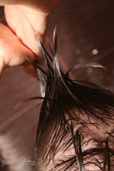 Spauskite peržiūrėti tikro dydžio