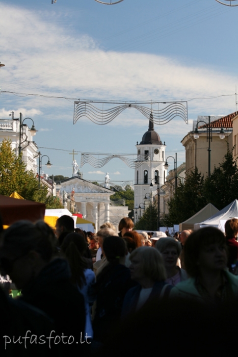 Spauskite peržiūrėti tikro dydžio