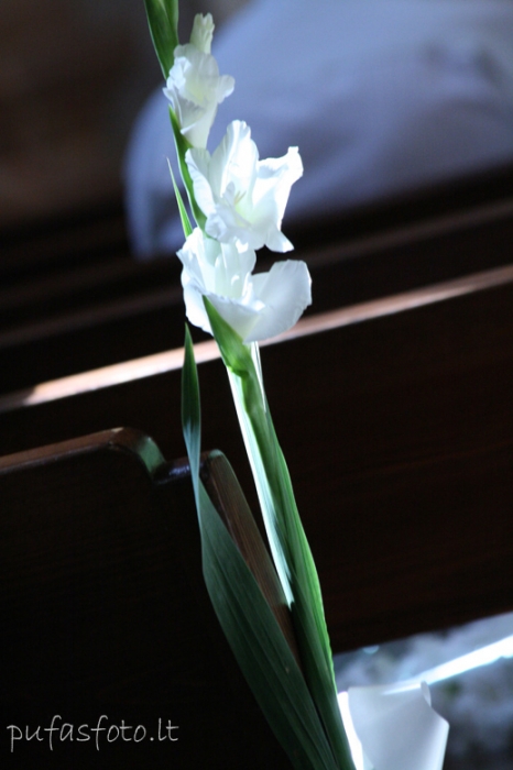 Spauskite peržiūrėti tikro dydžio